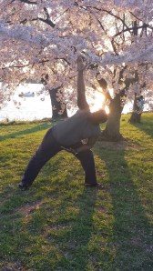 Cherry Blossom Side Angle Pose